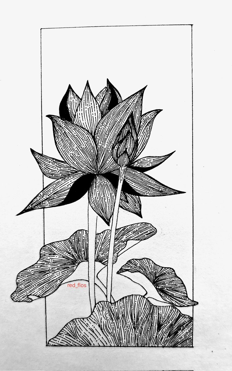 lotus🌺
#арт #рисунок #рисование #скетч #скетчбук #графика #grafic #drawing #draw #sketch #sketchbook #art