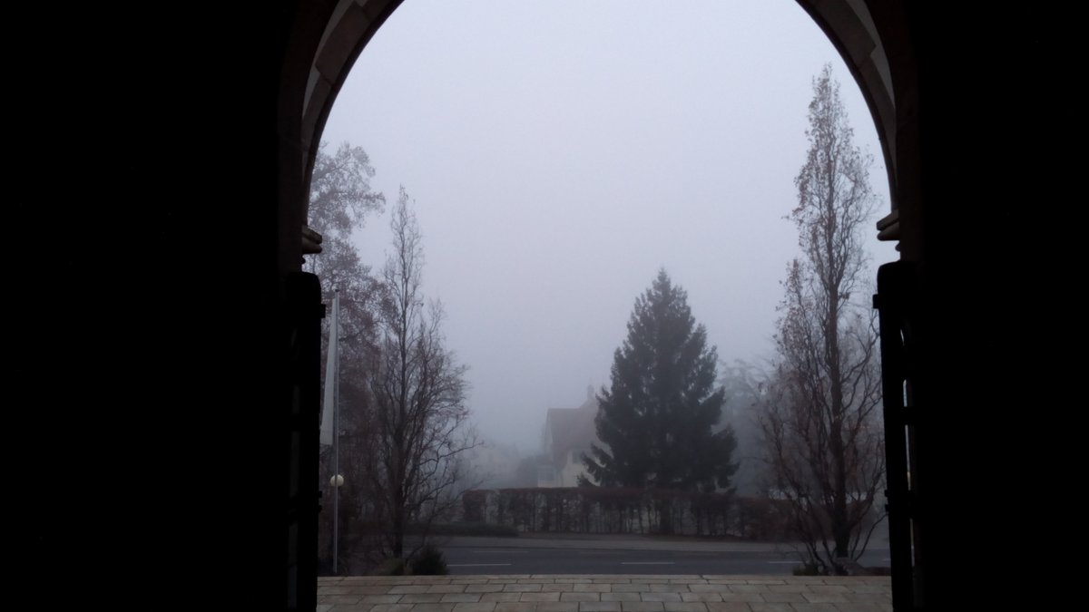 Gianni Skaragas tweet media