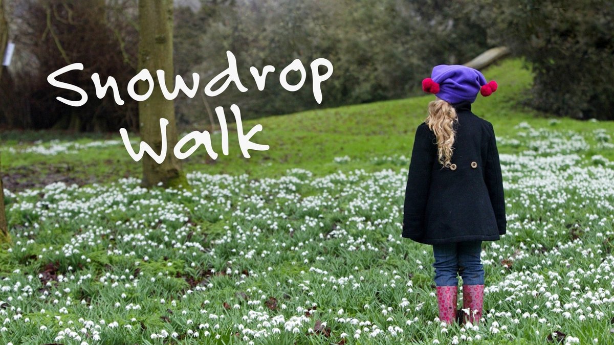 cbukhelp's tweet photo. Our much-loved Snowdrop Walk is back at West Wycombe Park, Buckinghamshire on Sunday 4 Feb 2024. Join us for a walk in beautiful surroundings and the opportunity to plant  snowdrops in memory of someone special to you. 

Tickets are on sale now: https://t.co/1qsHe2onb0 https://t.co/UWzz0UnWj3