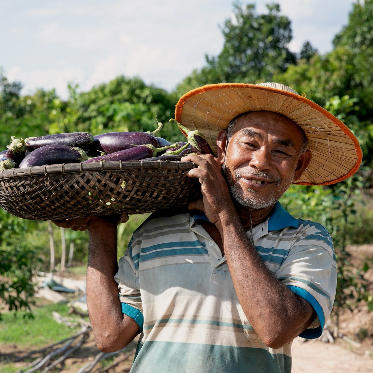 Small-scale farmers are the world's best investment for a future without hunger.

🔃 RT if you agree!