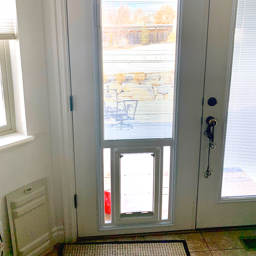 Give your dog the power to choose their space! Our in-glass dog doors offer the freedom for them to be exactly where they want. 🚪🐾 #PupPreference #DogDoors #PetFreedom #FurryFriends #PetAccess #FreedomOfChoice #HappyPets #DogLovers #HomeAccess #TailoredSpaces #UtahPetAccess
