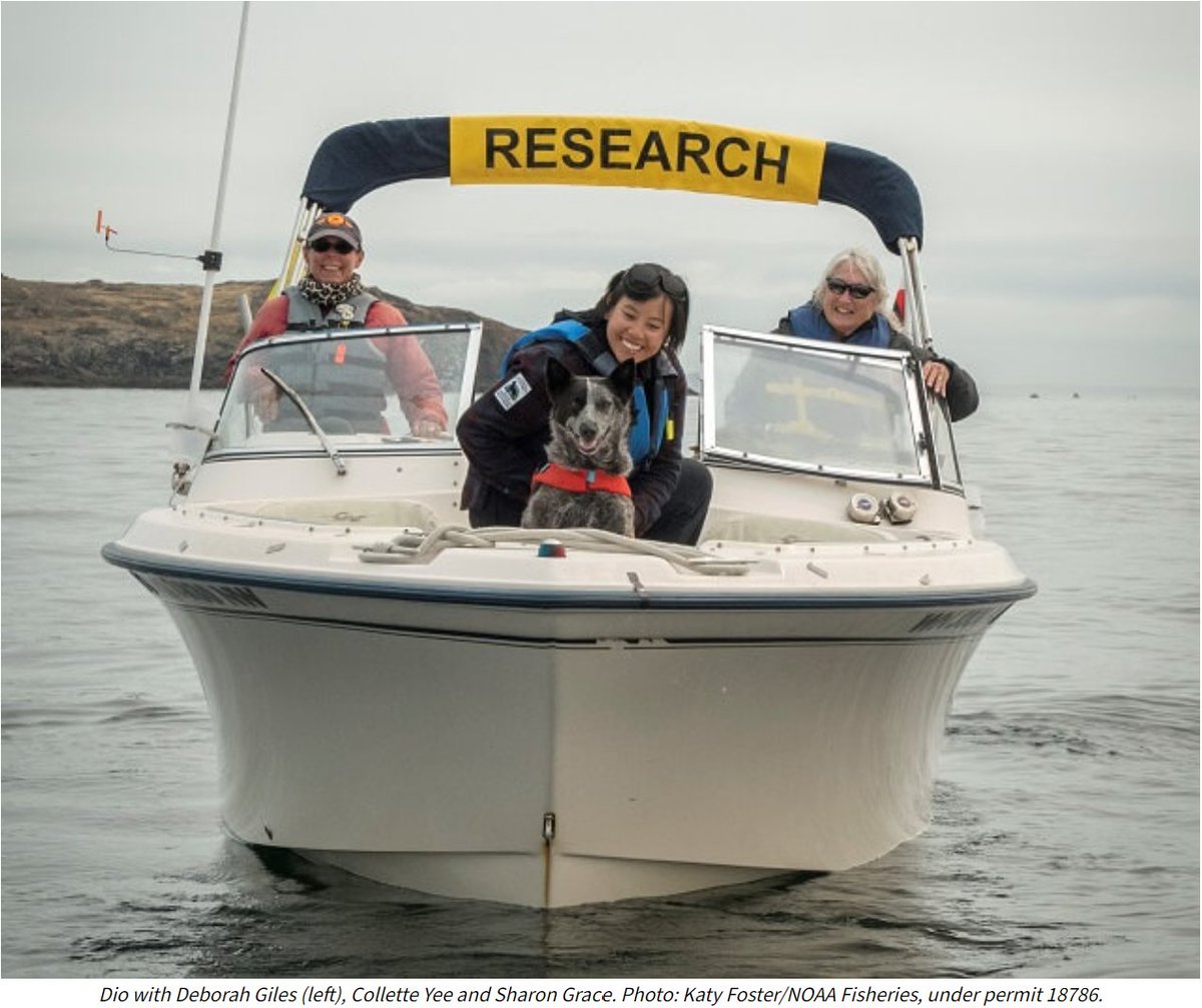 Rogue Detection Teams tweet media