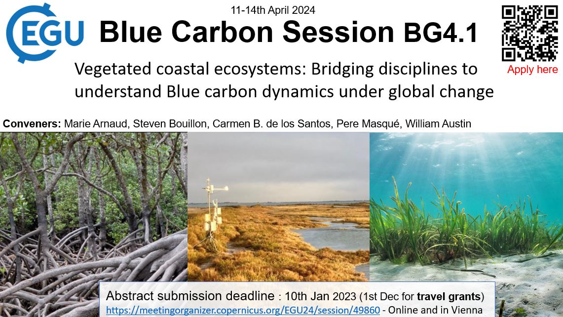 📢In our EGU session✨ @tania_maxwell7✨, our keynote,will present 'Predicting global soil organic carbon dynamics in tidal marshes'🌊🌍. Take the chance to interact with the #blueCarbon community! Submit your abstract by tmw 1pm: meetingorganizer.copernicus.org/EGU24/session/… @peremasque @cbdelosantos
