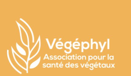 EmmanuelL_FMC's tweet photo. ✅Pour la 5️⃣ème année consécutive, je renouvelle mon adhésion à @vegephyl  

💡 Quoi, vous ne connaissez pas ⁉️

Plus d’excuse, visitez le site  🛜 pour en savoir ➕ sur cette association 😉

https://t.co/KtvPlT9pDj 

Et vous, quand est ce que vous adhérez ⁉️ https://t.co/kWndRDbaQB