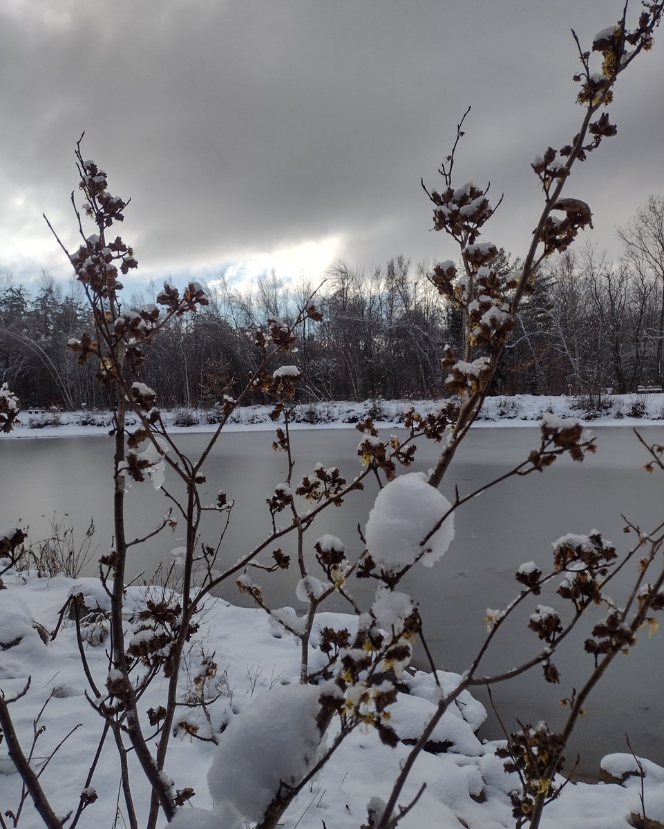 NewfoundRegion's tweet image. With all that white stuff on the ground, it's time to think about how cold temps change the world outside- join us at Nature Station next Tuesday 1-3pm as we explore snow, ice, and how plants &amp;amp; animals deal with winter! More info at NewfoundLake.org/events #exploreNewfound