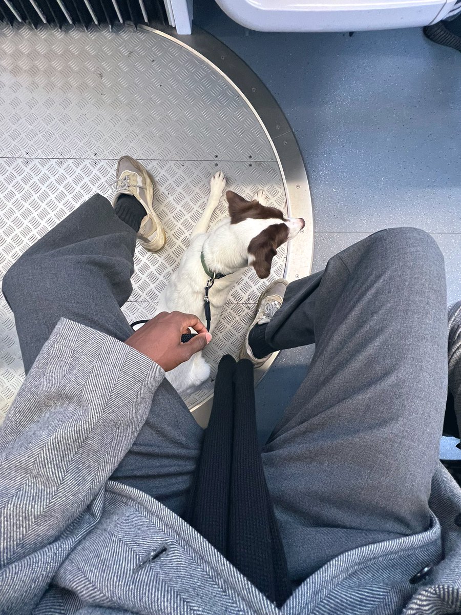 prōfessional yapper (@OliverHanst) / Posts / X