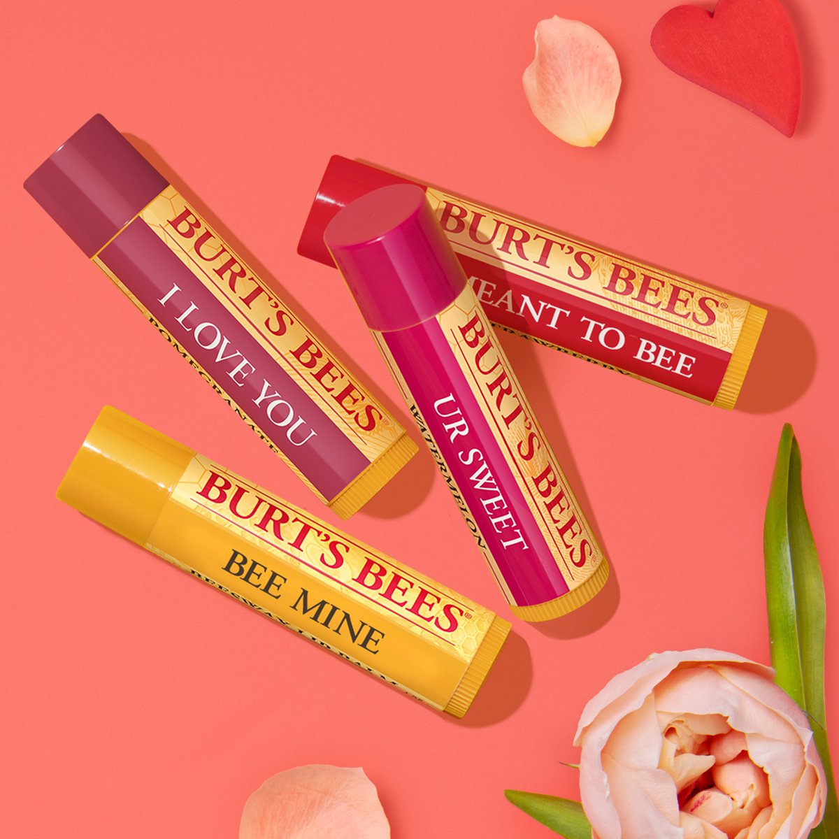 Burt's Bees (@BurtsBees) / X