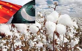 ChinaPakistanNN's tweet photo. چین نے 2023 کے پہلے گیارہ مہینوں میں پاکستان سے 617.62 ملین ڈالر سے زائد مالیت کا کاٹن یارن درآمد کیاہے.

https://t.co/4fnWS8pc0U https://t.co/GQT9TxRADl