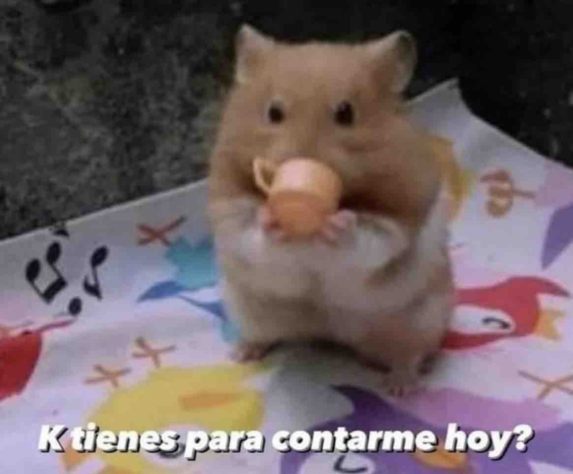 El Guarromántico tweet media
