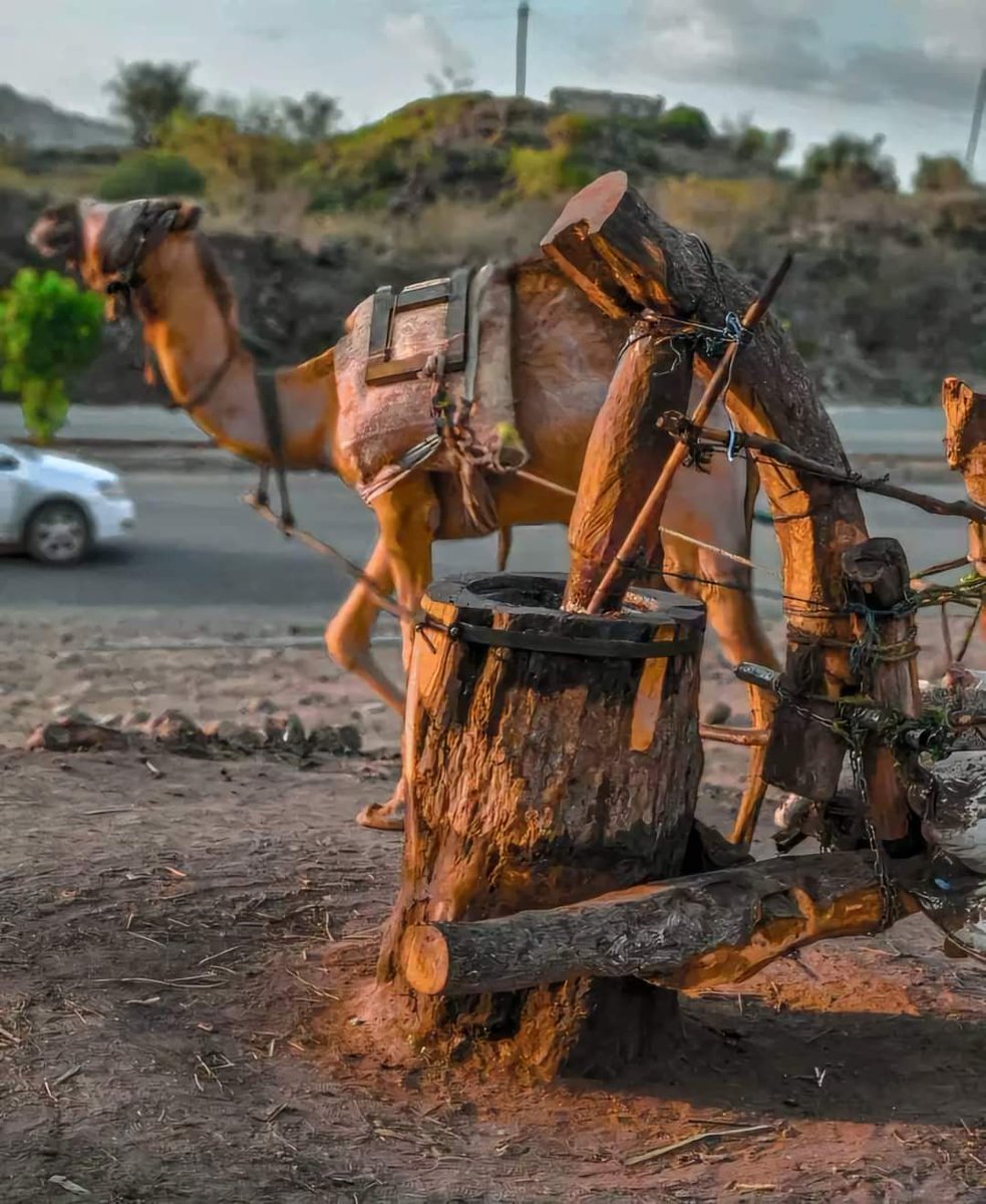 الجنوب | South (@south_arabian7) on Twitter photo 