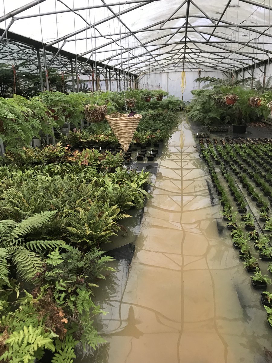 Shouldn’t need to water stuff for a while…