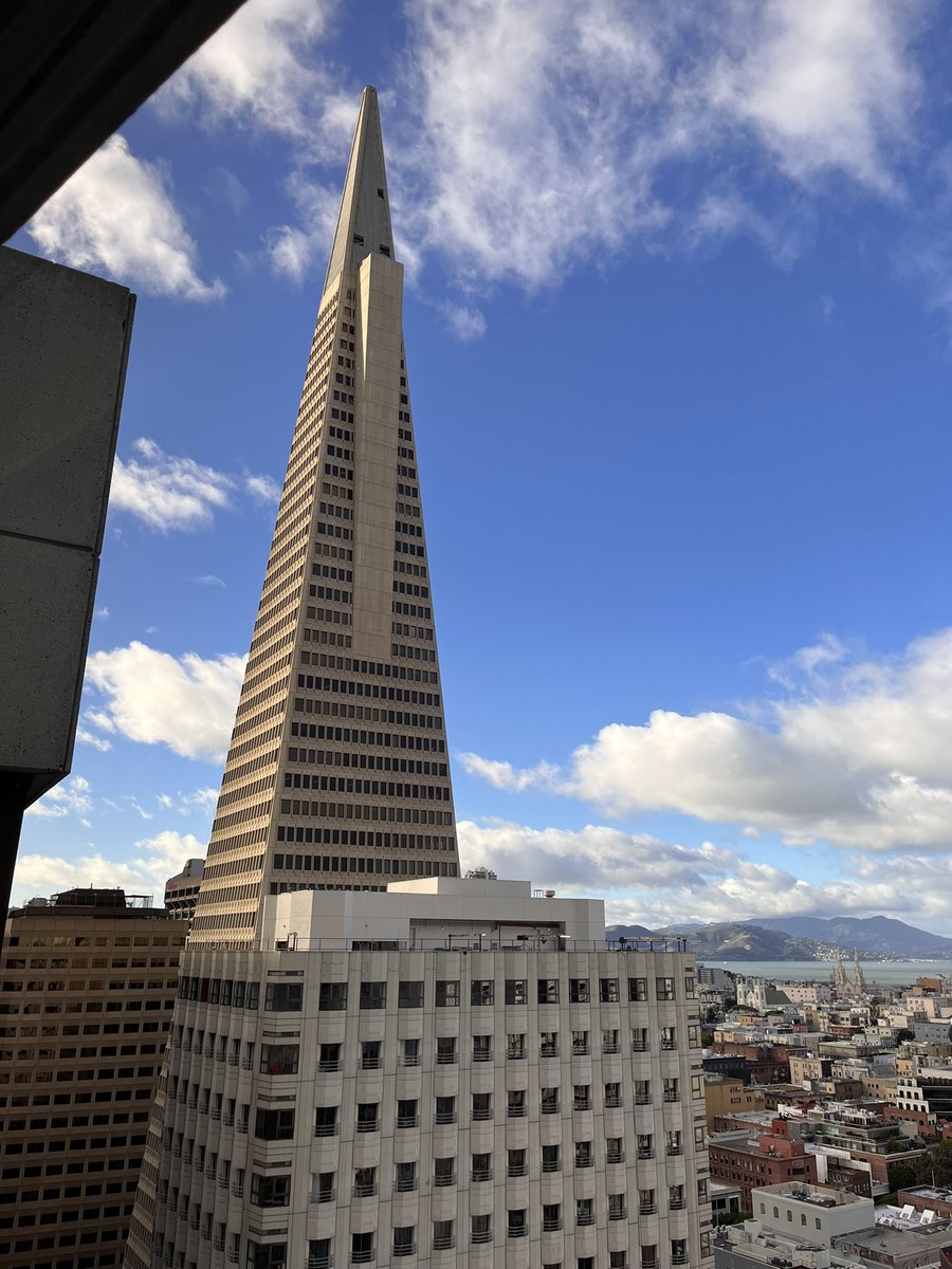 scottwhoatson's tweet photo. Bit of day off lux R&amp;R San Fran style….

#ontour #usa #sanfrancisco #dayoff #restandrelaxation #sunshine #blueskies #pottedpotter #maldivesboycott #thecitybythebay #thejay #thejayhotel #views #architecture #january #wharf #sanfran #transamericapyramid https://t.co/TzGyUZ0vcT