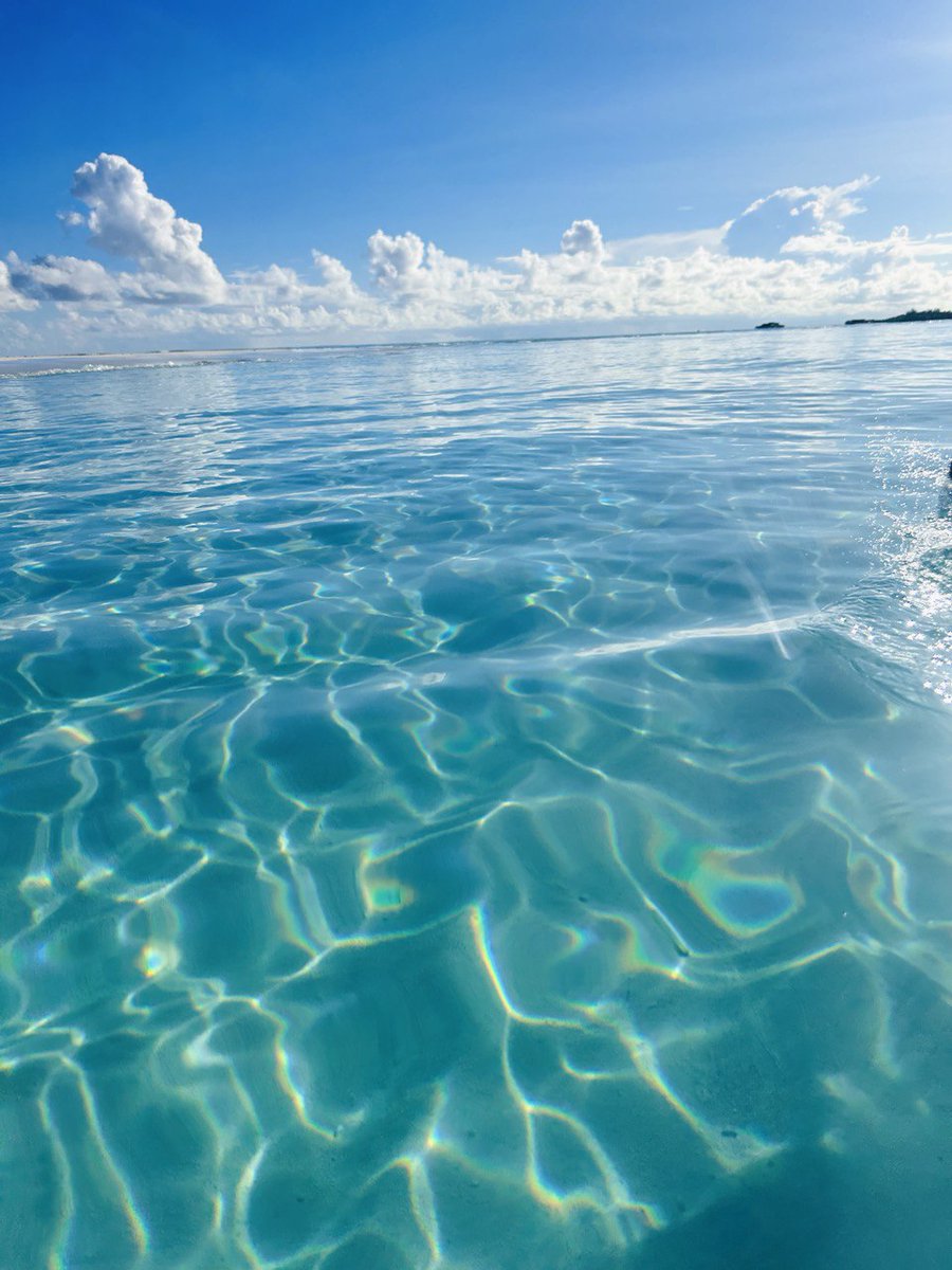 Shahyd Legacy tweet media