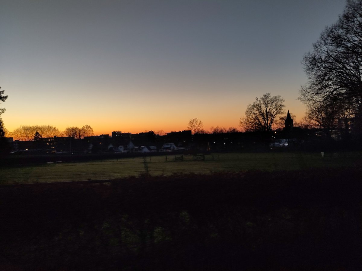 Bram van der Beek tweet media