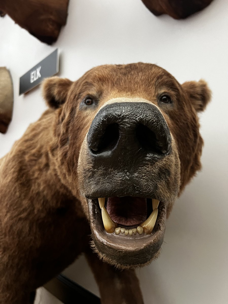 MSU_FinAid's tweet photo. @MissouriState Nobody:
Us waiting for your FAFSA: https://t.co/lVUn1hLBGT