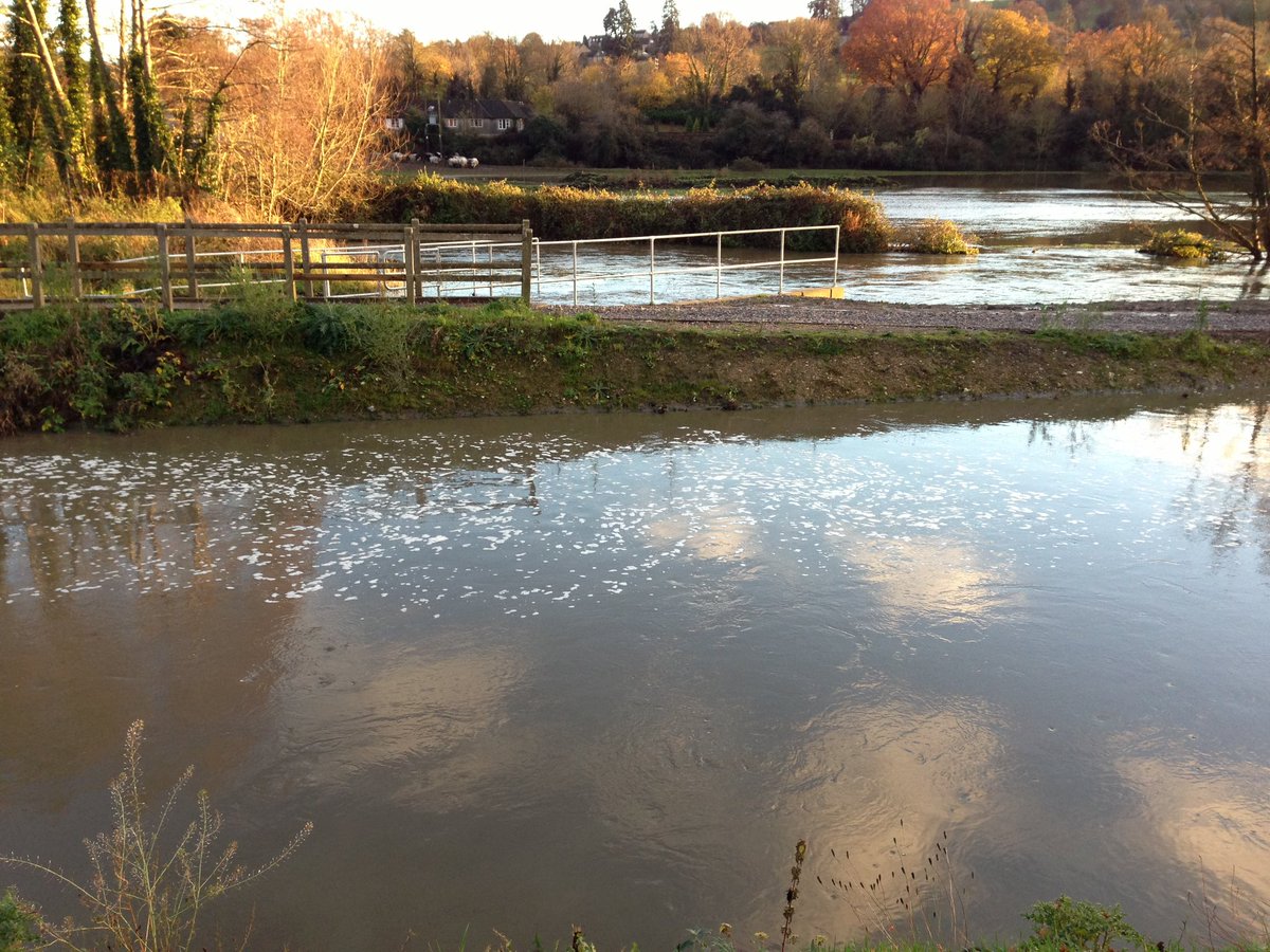 NFM Natural Flood Management tweet media