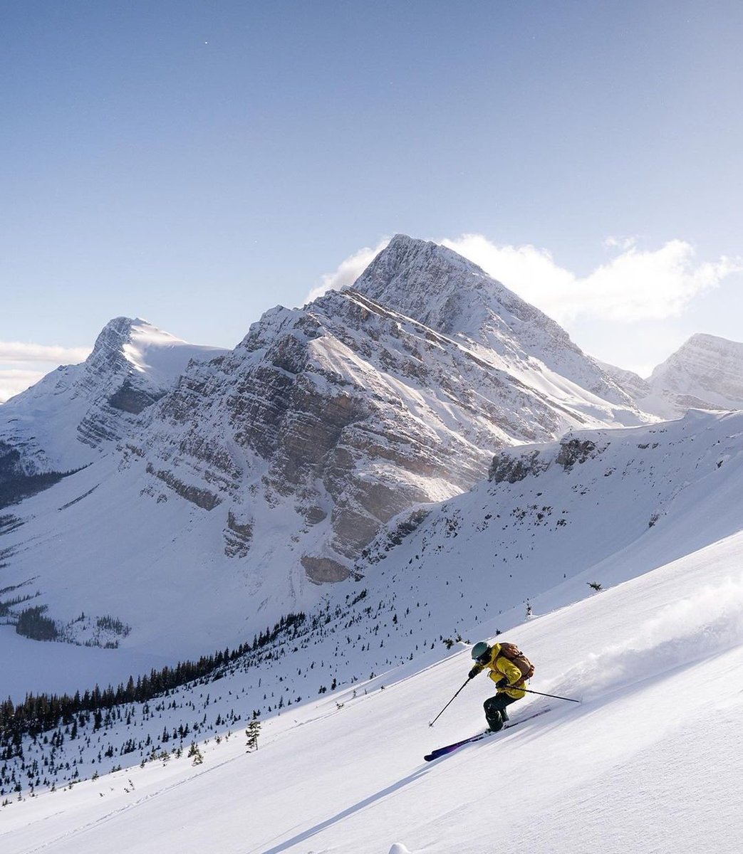 Edmonton Explorer tweet media