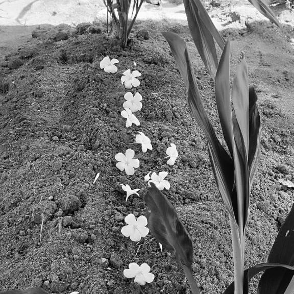 FarhaniShafee's tweet photo. 29th December 2023. My biggest fear became reality. Never thought I would lost my mom this early in my life.

I love you forever, Ummi❤️

Thank you for everything. Al-fatihah. https://t.co/84P8ZvRV3r