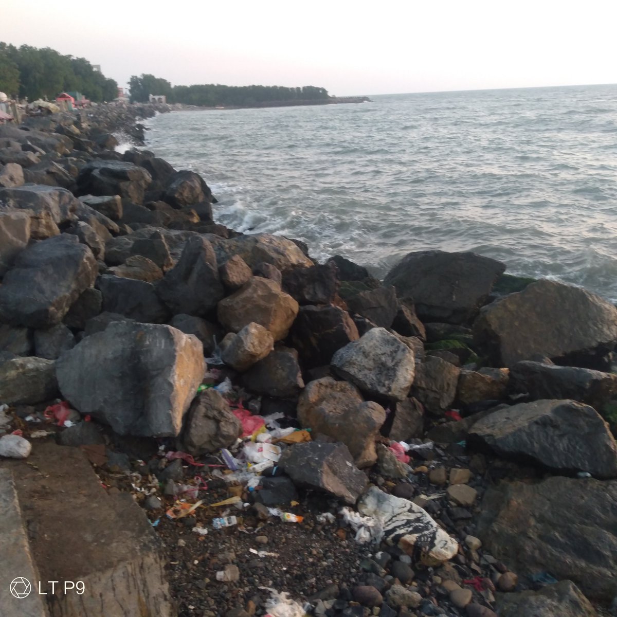 امنين وهو جاد تقابل لان