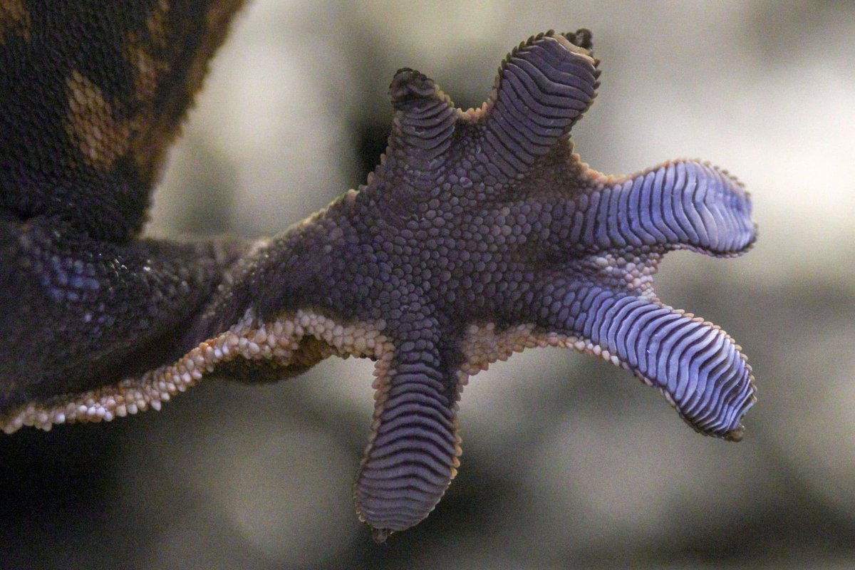 Eden Sanders tweet media