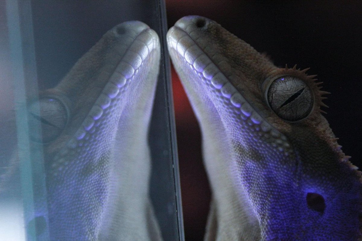 Eden Sanders tweet media