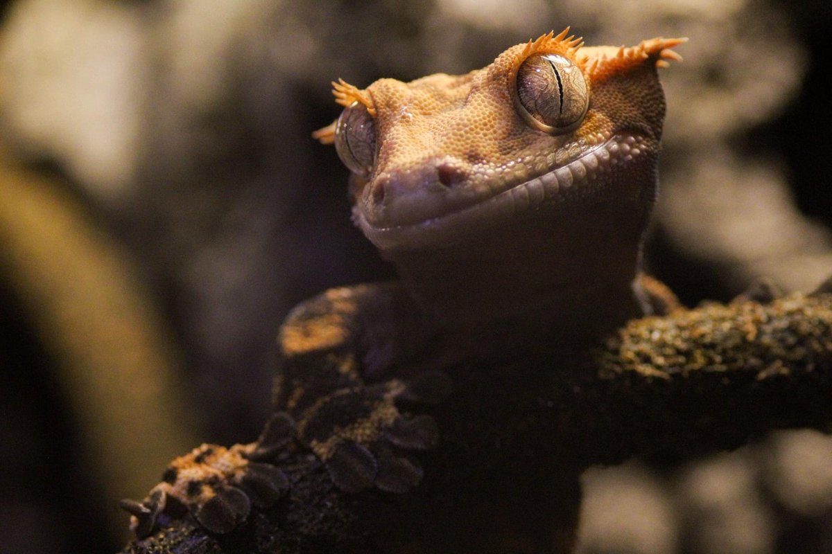 Eden Sanders tweet media