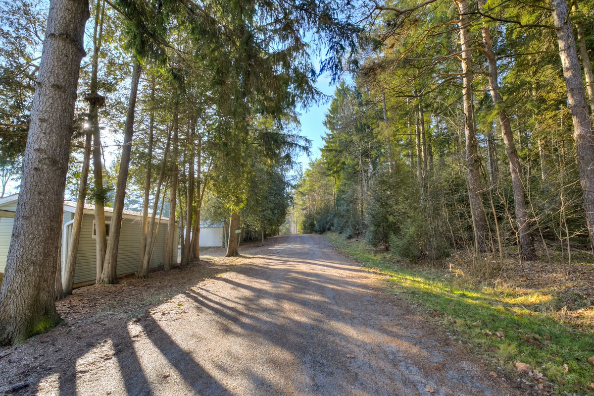 Adam_Stewart_'s tweet photo. Is 2024 your year for a Lake Belwood cottage property? My newest listing showcases a special cottage property on Lake Belwood. Details here: https://t.co/J2j3GgqQBd https://t.co/BIlM1NBlgu
