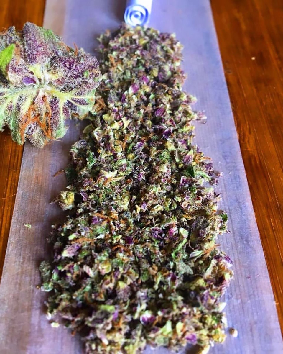 toqueyrol420's tweet photo. Esta es la #CherryBangBang del #RocketTrip….
Una cepa Híbrida de cultivo #indoor.
La neta es una delicia y pone súper chido. Le ponemos un 5 estrellas ⭐️
—
#cultivosindoor #marihuanamexico #cannabismexico #productores #growers #cogollo
@RocketTrip1 https://t.co/NkOGasQoA9