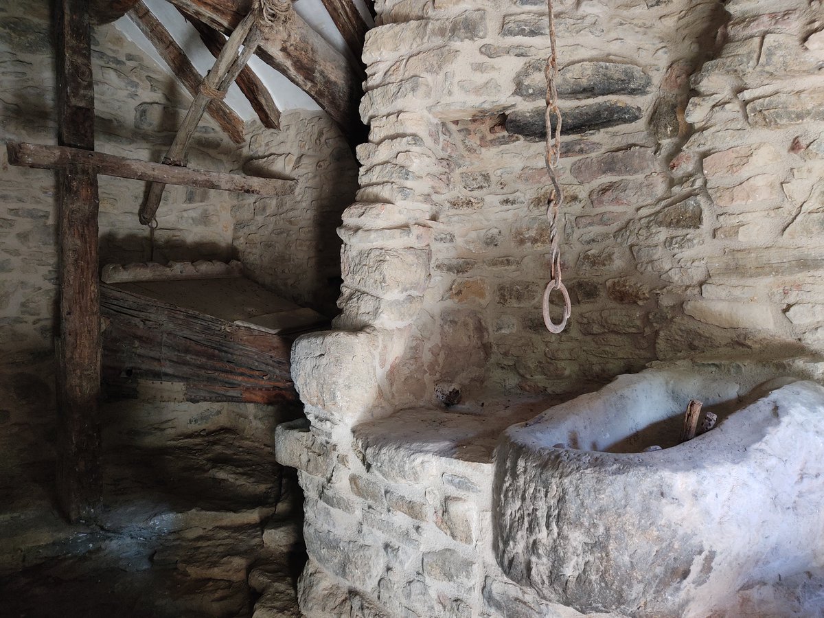 Carrasca de Lecina tweet media