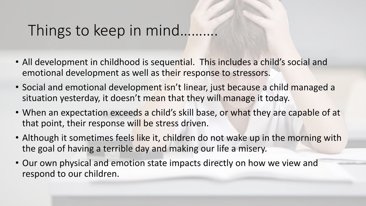 This framed the discussion with school staff today exploring relationships, child development and behaviour.  We explored developmental stage as opposed to age. Especially important when considering emotional and stress regulation.