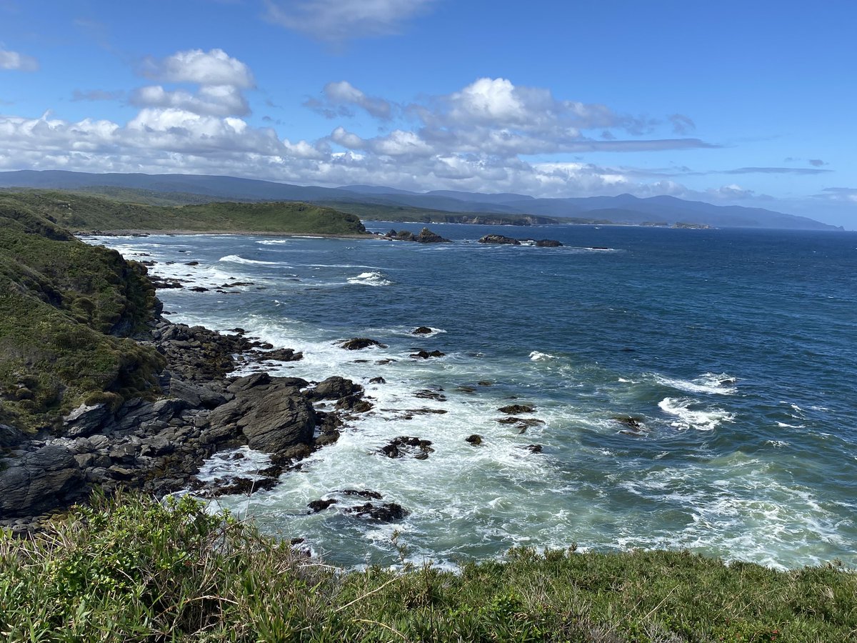 vivoencharlone's tweet photo. En este lugar maravilloso acabo de ver delfines. ❤️ #Chepu https://t.co/BVWyTOyKd6