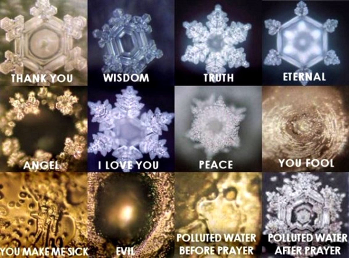 Discovery112611's tweet photo. @TrumpDailyPosts Science proves the existence of 'God' which = Positive Energy. It attracts spirits with peaceful faces. But negative energy attracts spirits that you'd see in a horror movie. Trump's energy is proven to attract creepy spirits not godly ones. And that's a scientific fact. https://t.co/RtasUtSGQD
