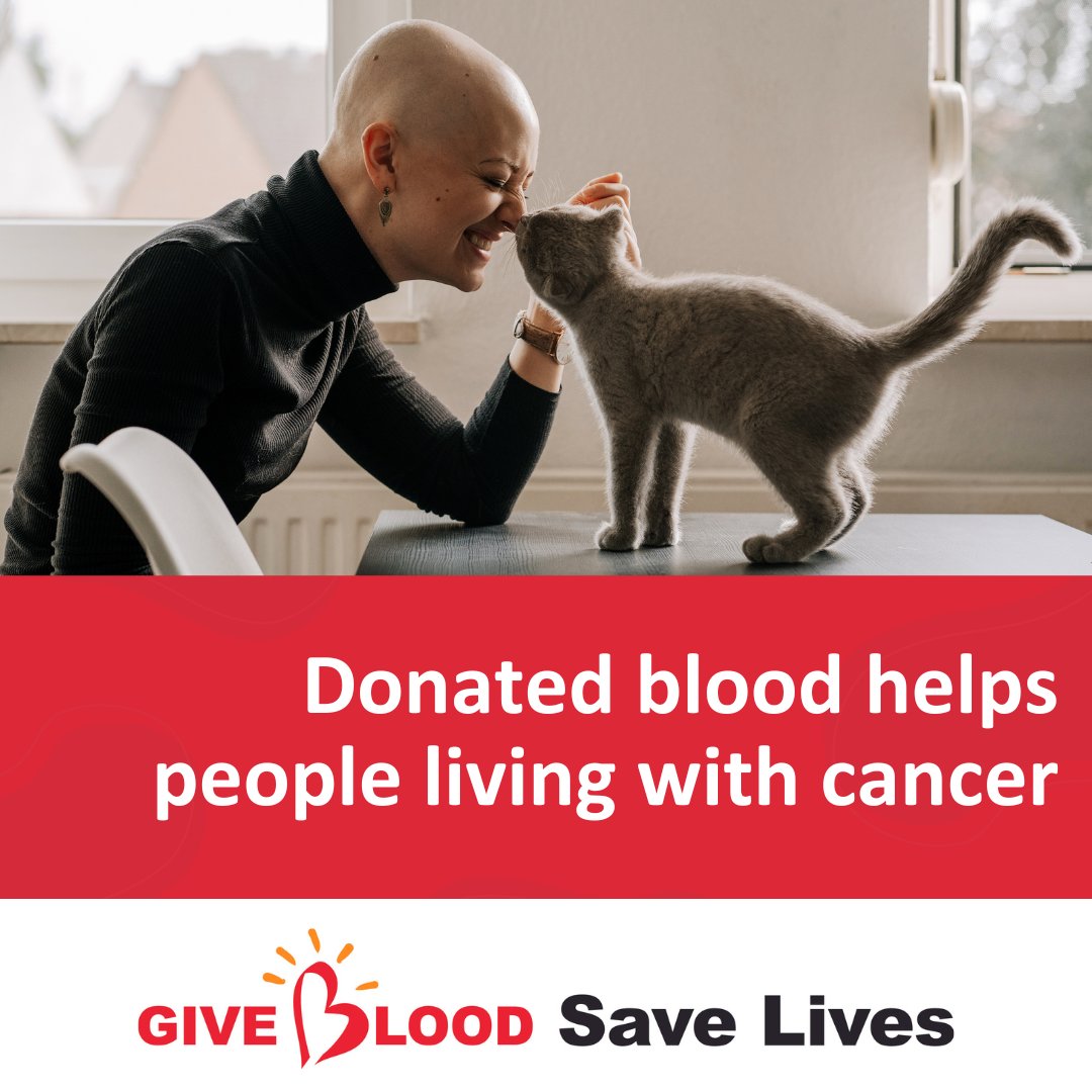GiveBloodNI's tweet photo. Thousands of people across #NorthernIreland need donated blood to help them overcome, or live well, with cancer or various other illnesses 🩸❤️Please give blood 🙏 Book now at https://t.co/tlVCbYnhOu

#giveblood #blooddonation #lifesaver https://t.co/d2QT4xkHqQ