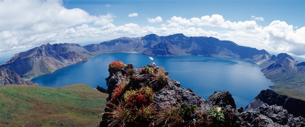 Victoria Smith tweet media