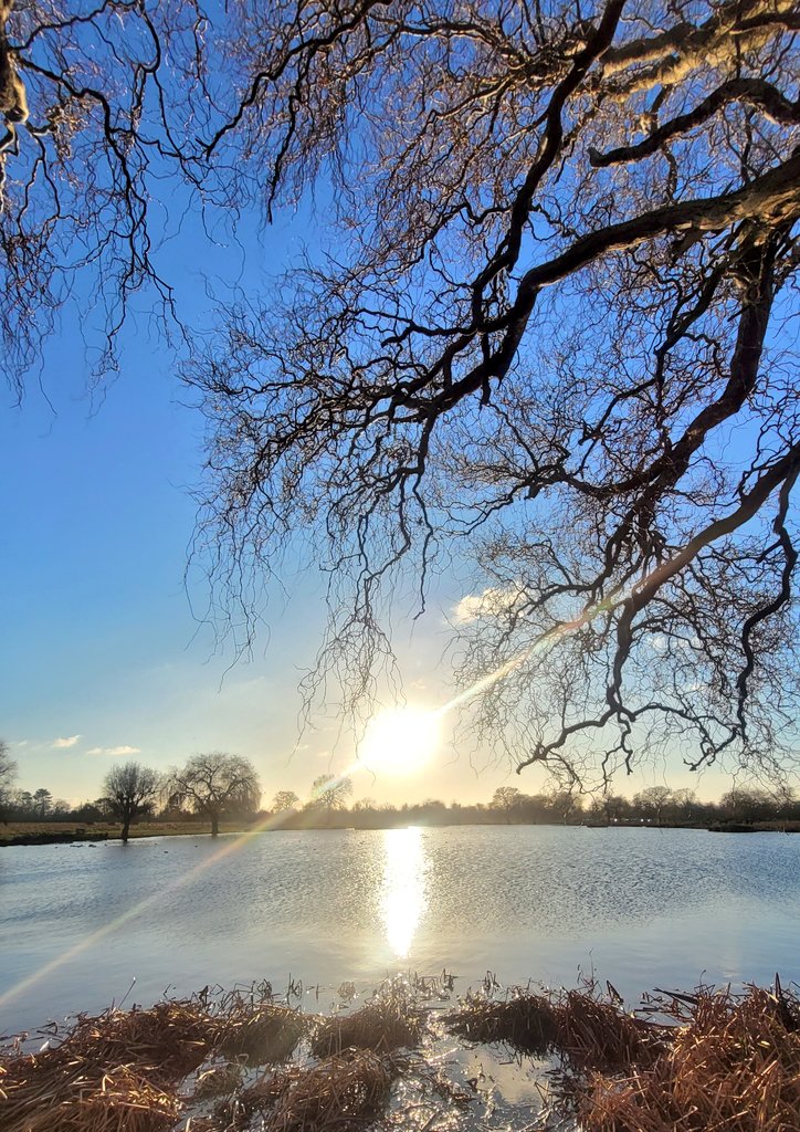 Crazy cold and windy Tuesday.. @metoffice @theroyalparks @SallyWeather @itvlondon