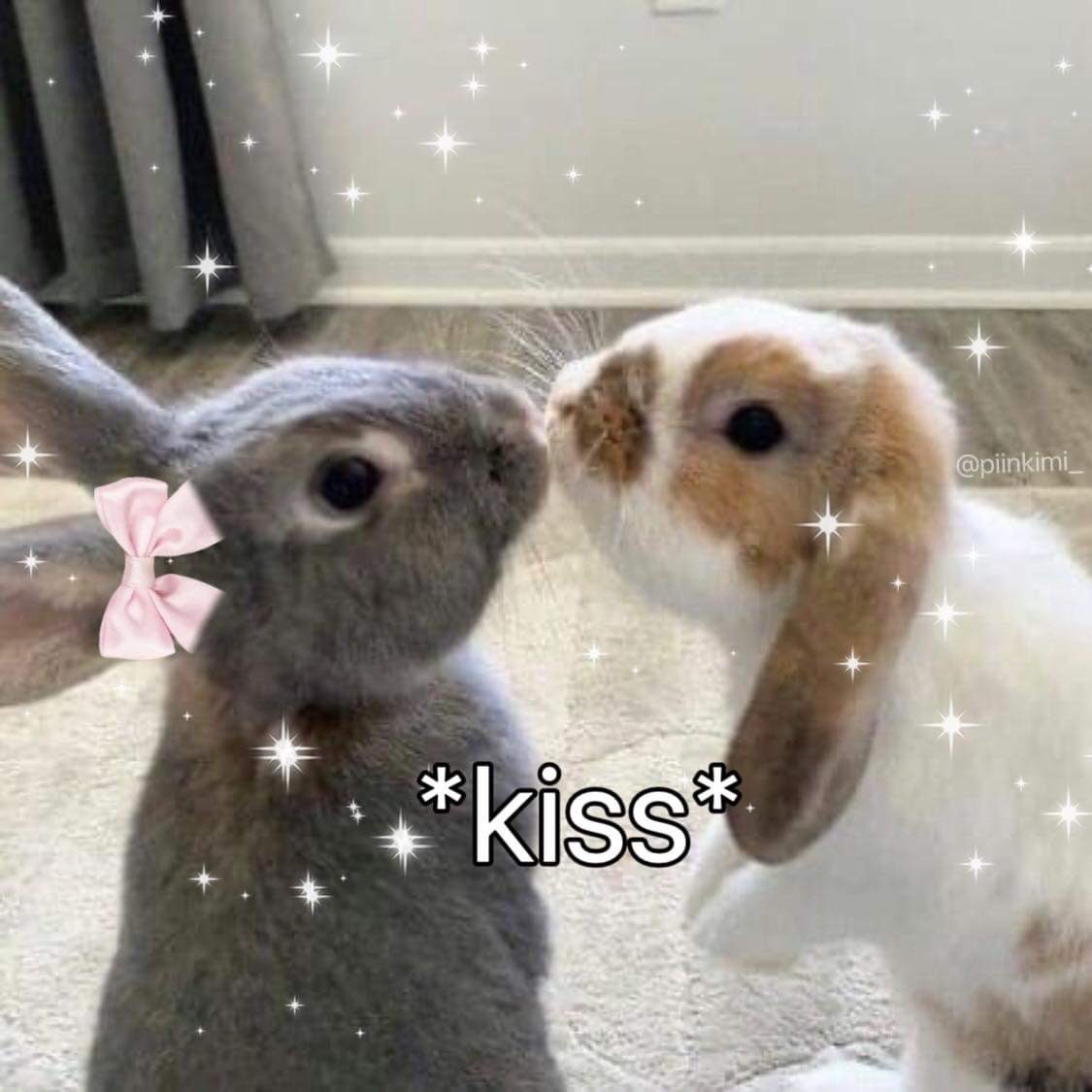 bunnieswbows's tweet photo. https://t.co/6Aly91OejA