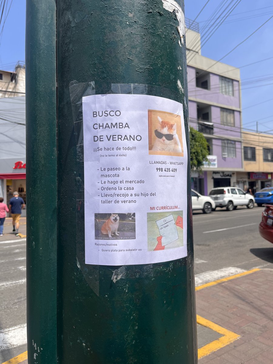 lasinginglatinx's tweet photo. Un RT para Que el amigo de Jesús Maria encuentre chamba de verano 

Llamadas o whatsapp solo para trabajo: 998435409 https://t.co/tWgGpiOOxT