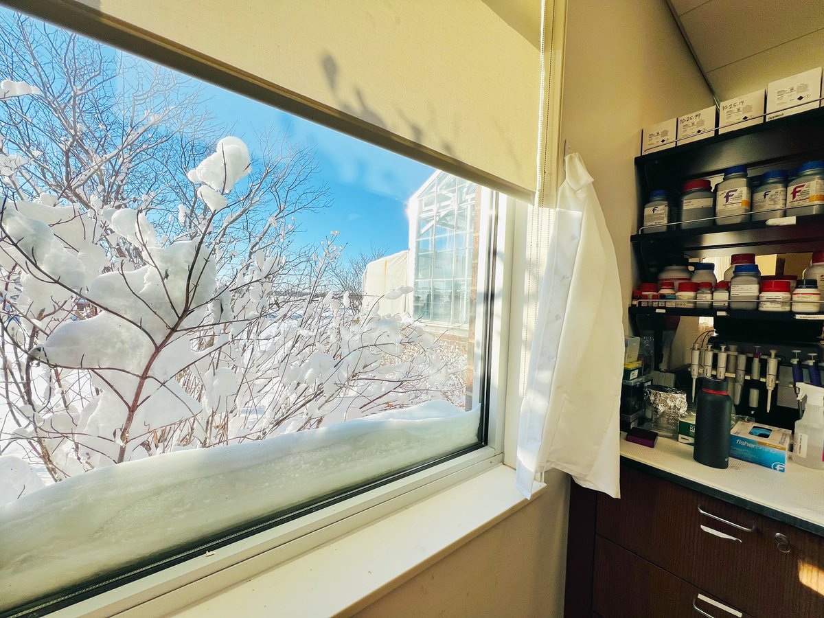 karanjot_04's tweet photo. Its a marshmallow world outside ❄️☃️🥼🔬🧬 @SDState #010924 https://t.co/OGZIkAA19G