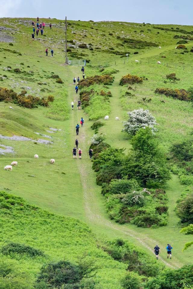 Llangollen Round tweet media