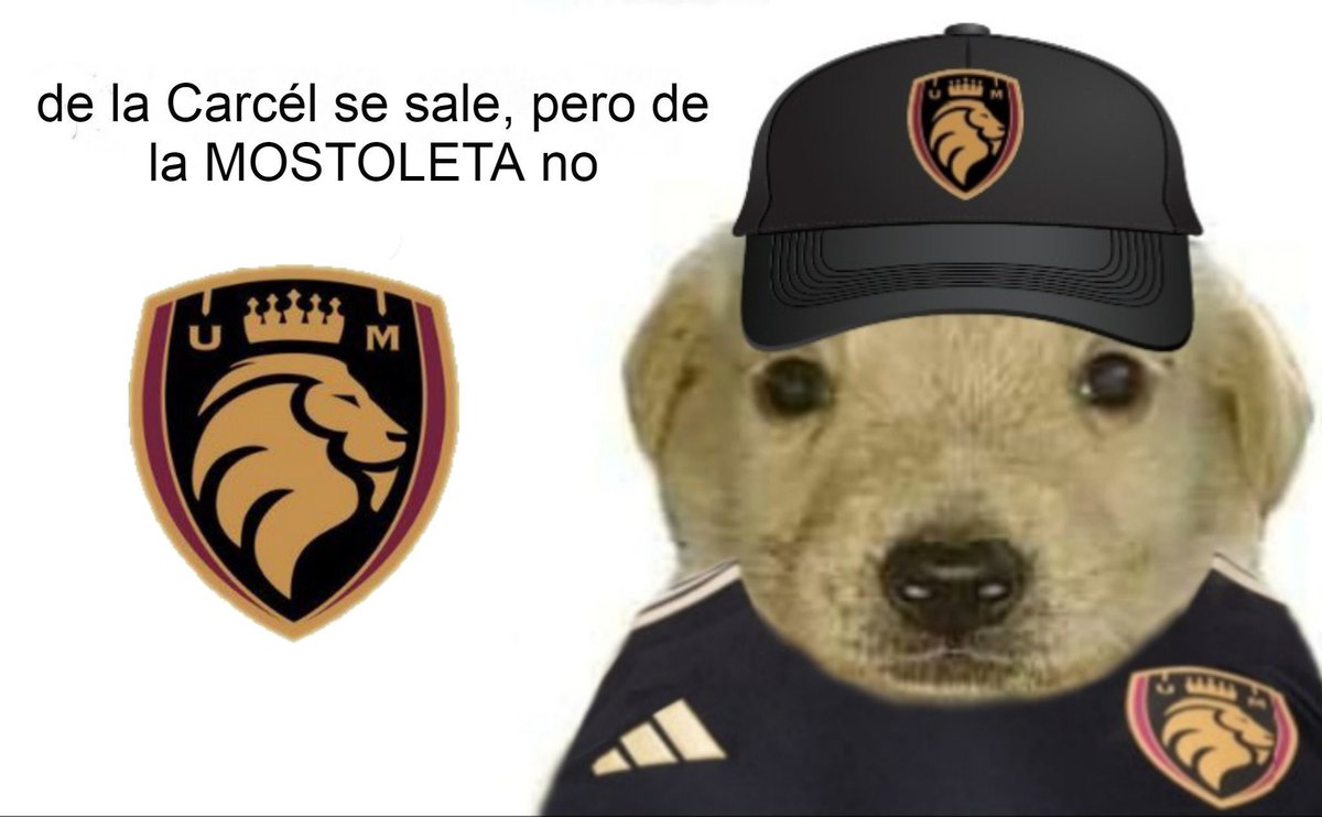 UltMostoles's tweet photo. https://t.co/E005a4wY5b