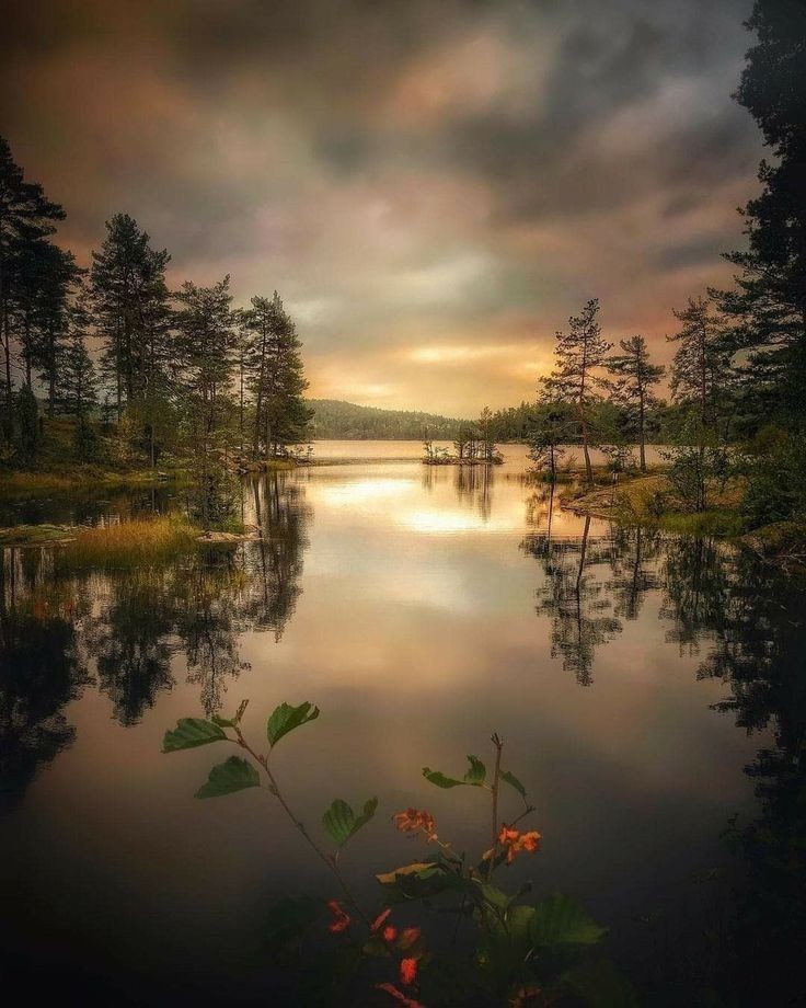 Paul96929767789's tweet photo. #trending2024  #artistry #pbotography https://t.co/JpHtUlL1EM