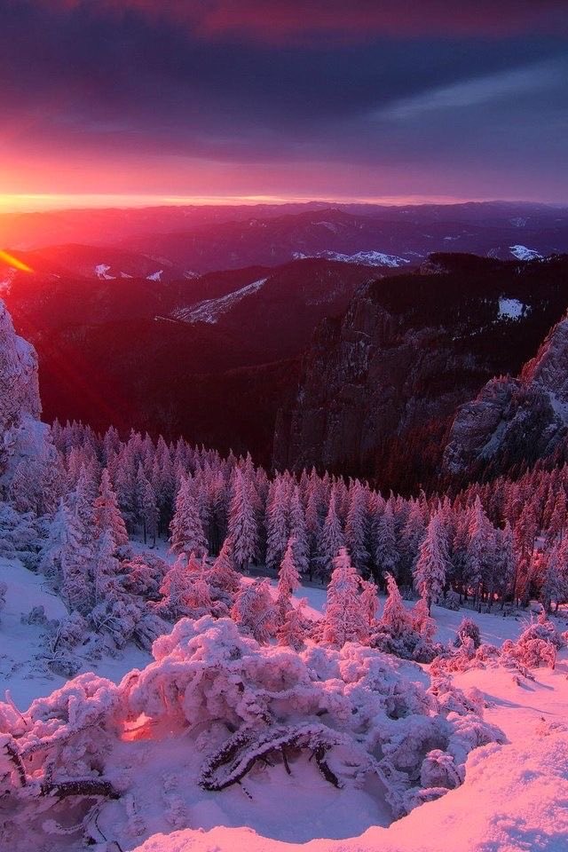 KatanaHugo's tweet photo. Good evening dear friends !
#photos #photography #evening #sunset https://t.co/nLhZ4dtAQd