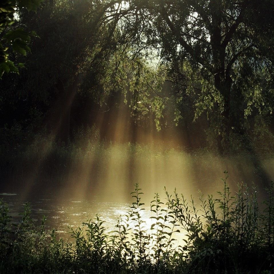 greendreamvibes's tweet photo. Silence. https://t.co/a6FQXQkYft