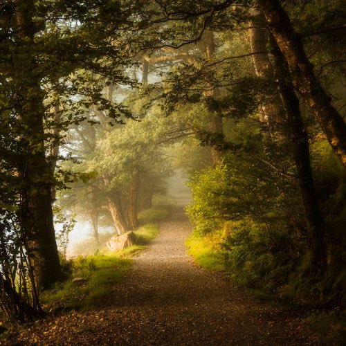 greendreamvibes's tweet photo. Silence. https://t.co/a6FQXQkYft