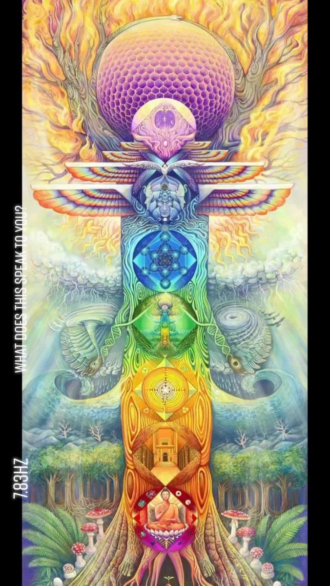 DBenandanti's tweet photo. “Los chakras son realmente dimensiones. Pensamos en ellos como objetos, pero en realidad no lo son. Son puntos de acceso dimensionales, mediante los cuales entramos en diferentes niveles mentales”.
- Fredrick Lenz https://t.co/dMfEzJcNgz