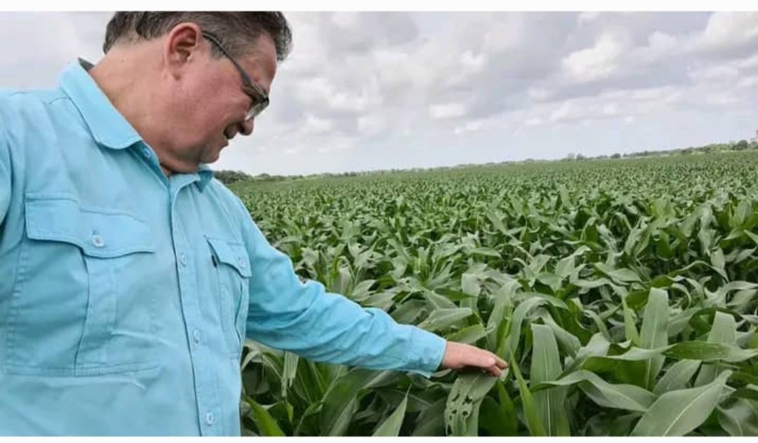 Quiero agradecer a todas las personas de bien, al gremio por sus palabras de solidaridad ante el grave accidente de ayer donde resultó herido nuestro director de oleaginosas <a href="/Bolotinsubero/">𝙍𝙖𝙢𝙤𝙣 𝙀𝙡𝙞𝙖𝙨 𝘽𝙤𝙡𝙤𝙩𝙞𝙣🌽🌻🌱🐃</a> Dios mediante Ramón va seguir mostrando las bondades del agro venezolano.