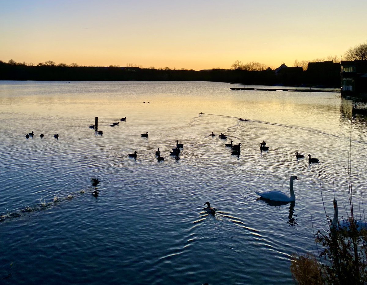 Enjoying nature with a lakeside walk after a well-being talk! <a href="/DrSallyBell/">Sally Bell</a> <a href="/shirleyCowan9/">shirley Cowan</a>