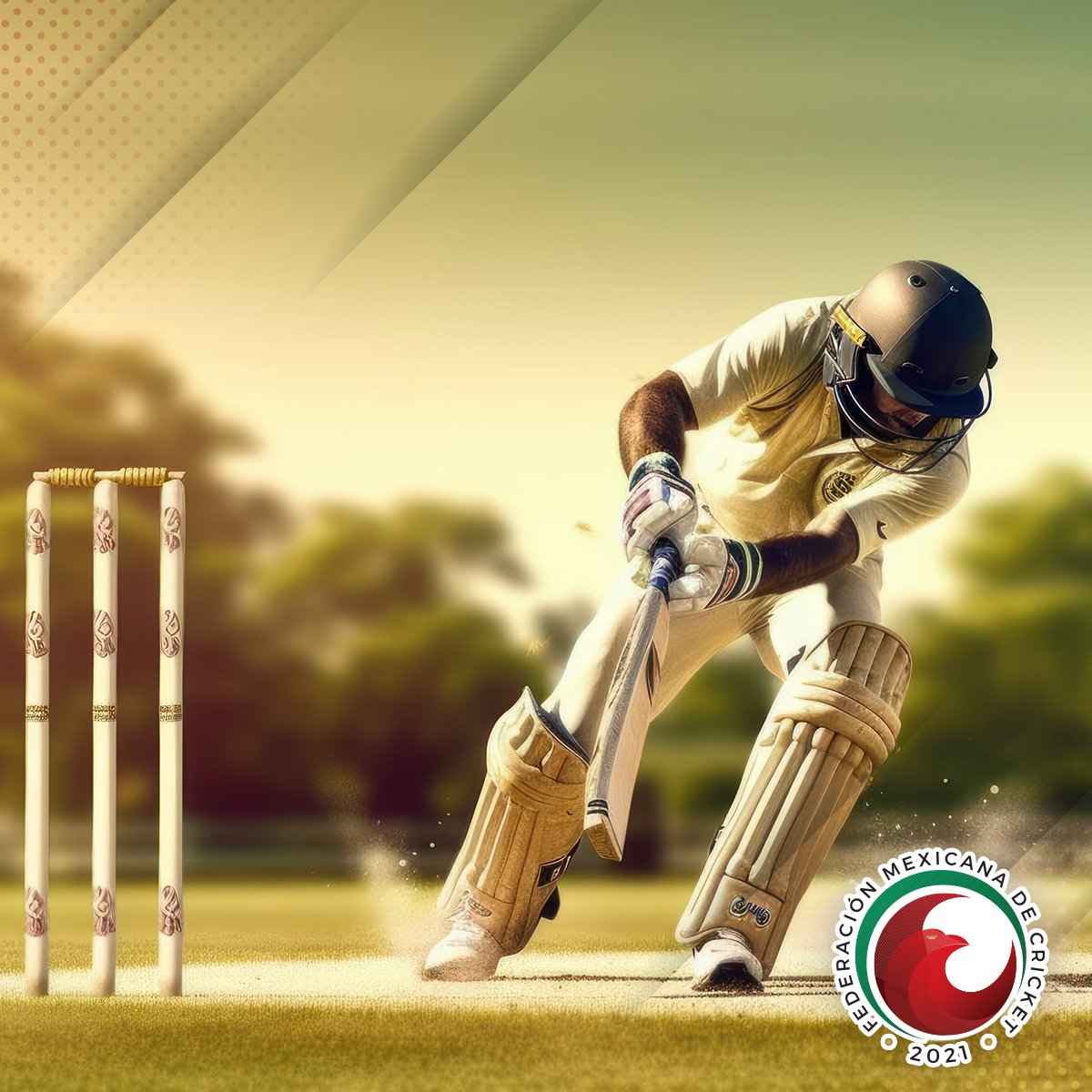 Cricket México tweet media