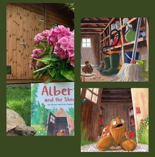 AlbertTortoise's tweet photo. Albert.. in a #shed. All is revealed in #ALBERTthetortoise #picturebook ALBERT AND THE SHED. #AvailableNow with five more ALBERT #picturebooks, #BoardBook and #ActivityBook https://t.co/sGYhBlFUhP
#tortoise #tortoisebook #shedoftheyear #illustrations #turtle #turtlebook #books https://t.co/bwSouQvYyZ