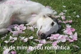 aoltFaLLeN's tweet photo. @wildestluis Ai de nós pessoas românticas https://t.co/9dqkcSrW99